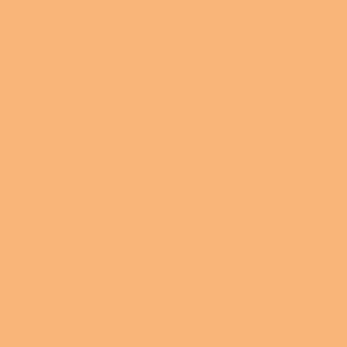 Apricot Orange Tint
