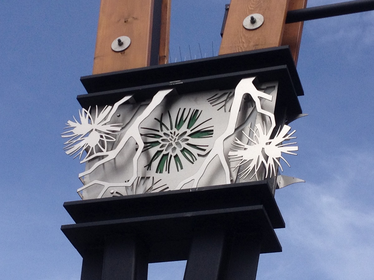 endless possibilities